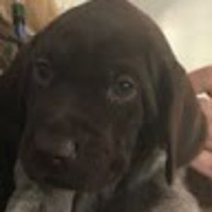 Meet your Posher, Amy and kevin